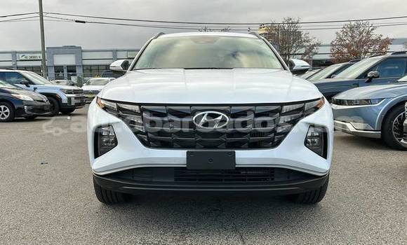 Buy Used Hyundai Tucson White Car in Bridgetown in Barbados Buy Used Hyundai Tucson White Car in Bridgetown in Barbados