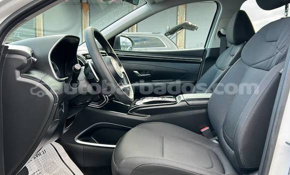 Buy Used Hyundai Tucson White Car in Bridgetown in Barbados Buy Used Hyundai Tucson White Car in Bridgetown in Barbados