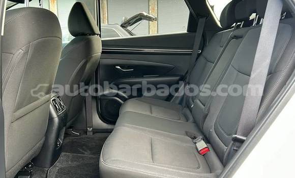 Buy Used Hyundai Tucson White Car in Bridgetown in Barbados Buy Used Hyundai Tucson White Car in Bridgetown in Barbados