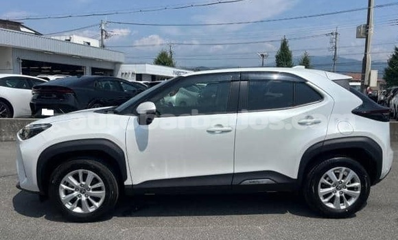 Buy Used Toyota Yaris White Car in Bridgetown in Barbados Buy Used Toyota Yaris White Car in Bridgetown in Barbados