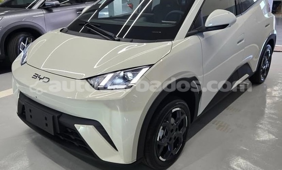 Buy Used BYD S6 White Car in Bridgetown in Barbados