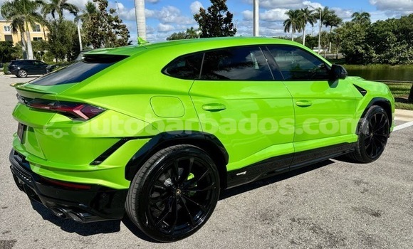 Buy Used Lamborghini Urus Green Car in Bridgetown in Barbados Buy Used Lamborghini Urus Green Car in Bridgetown in Barbados