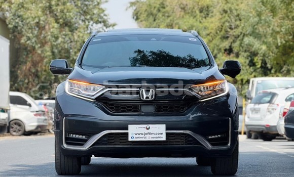 Buy Used Honda CR–V Other Car in Import - Dubai in Barbados
