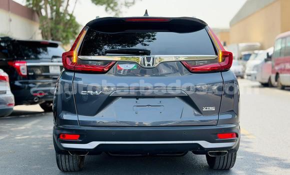 Buy Used Honda CR–V Other Car in Import - Dubai in Barbados Buy Used Honda CR–V Other Car in Import - Dubai in Barbados
