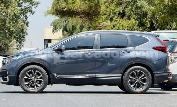 Buy Used Honda CR–V Other Car in Import - Dubai in Barbados Buy Used Honda CR–V Other Car in Import - Dubai in Barbados