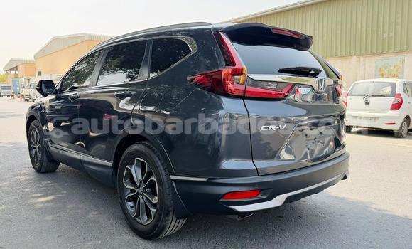 Buy Used Honda CR–V Other Car in Import - Dubai in Barbados Buy Used Honda CR–V Other Car in Import - Dubai in Barbados