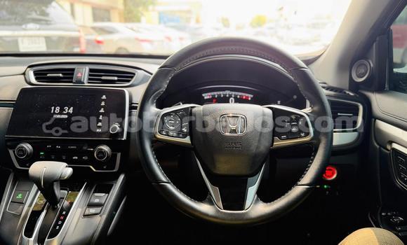 Buy Used Honda CR–V Other Car in Import - Dubai in Barbados Buy Used Honda CR–V Other Car in Import - Dubai in Barbados