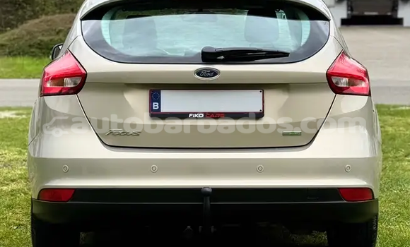 Buy Used Ford Focus Green Car in Bridgetown in Barbados