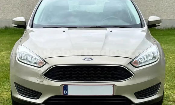 Buy Used Ford Focus Green Car in Bridgetown in Barbados Buy Used Ford Focus Green Car in Bridgetown in Barbados