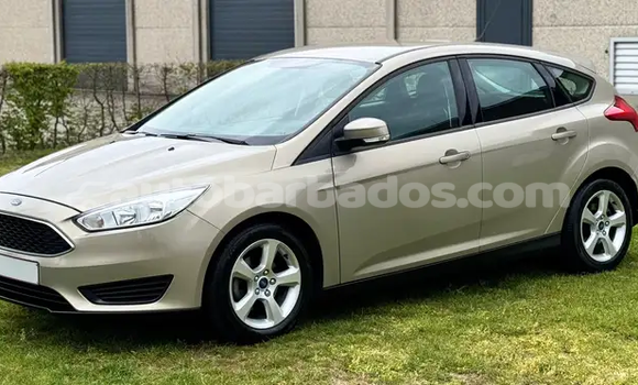 Buy Used Ford Focus Green Car in Bridgetown in Barbados Buy Used Ford Focus Green Car in Bridgetown in Barbados