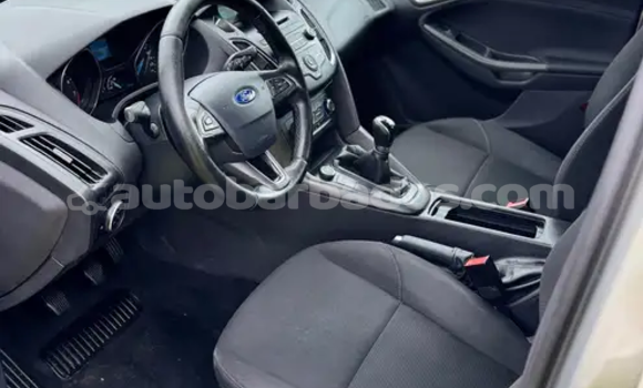 Buy Used Ford Focus Green Car in Bridgetown in Barbados Buy Used Ford Focus Green Car in Bridgetown in Barbados