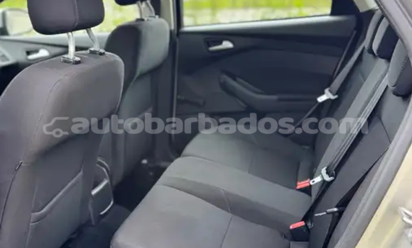 Buy Used Ford Focus Green Car in Bridgetown in Barbados Buy Used Ford Focus Green Car in Bridgetown in Barbados