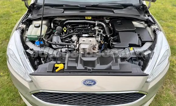 Buy Used Ford Focus Green Car in Bridgetown in Barbados Buy Used Ford Focus Green Car in Bridgetown in Barbados