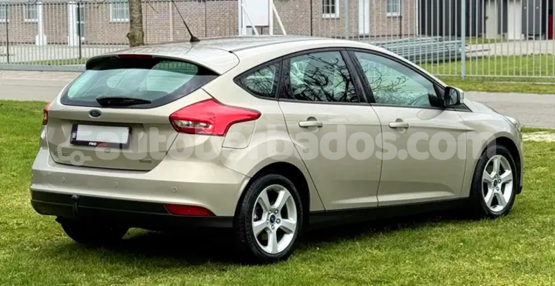 Big with watermark ford focus barbados bridgetown 4875