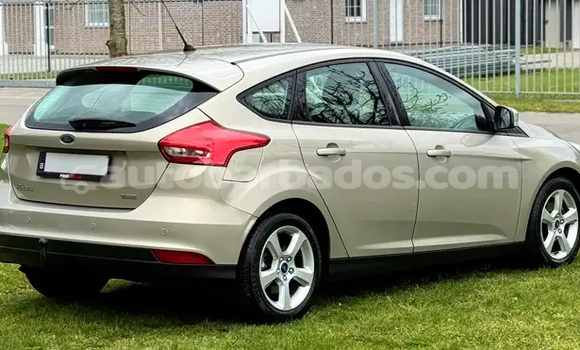 Buy Used Ford Focus Green Car in Bridgetown in Barbados Buy Used Ford Focus Green Car in Bridgetown in Barbados