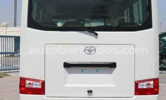 Buy Used Toyota Coaster White Car in Bridgetown in Barbados Buy Used Toyota Coaster White Car in Bridgetown in Barbados