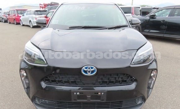 Buy Used Toyota Yaris Black Car in Bridgetown in Barbados Buy Used Toyota Yaris Black Car in Bridgetown in Barbados