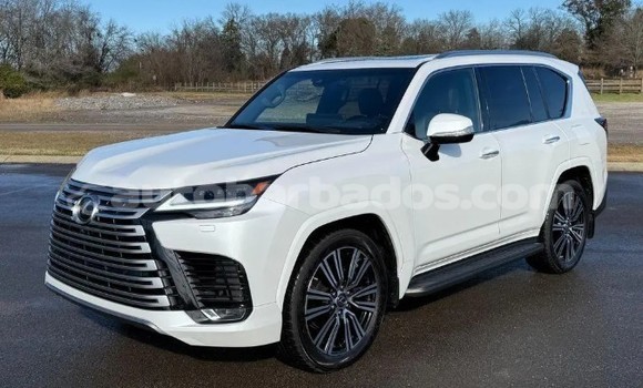 Buy Used Lexus LX White Car in Crab Hill in Barbados