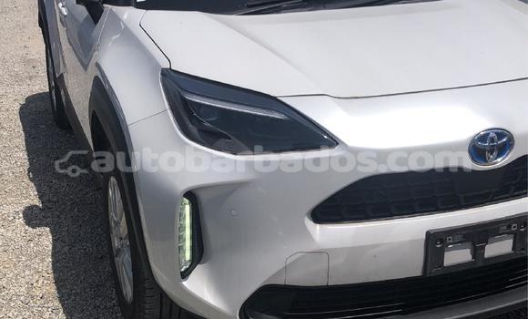 Buy Used Toyota Yaris White Car in Bridgetown in Barbados