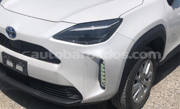 Buy Used Toyota Yaris White Car in Bridgetown in Barbados Buy Used Toyota Yaris White Car in Bridgetown in Barbados