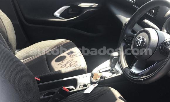 Buy Used Toyota Yaris White Car in Bridgetown in Barbados Buy Used Toyota Yaris White Car in Bridgetown in Barbados