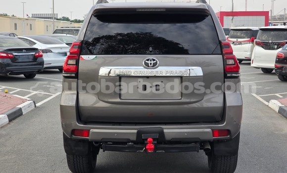 Buy Used Toyota Land Cruiser Prado Brown Car in Bridgetown in Barbados Buy Used Toyota Land Cruiser Prado Brown Car in Bridgetown in Barbados
