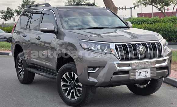 Buy Used Toyota Land Cruiser Prado Brown Car in Bridgetown in Barbados Buy Used Toyota Land Cruiser Prado Brown Car in Bridgetown in Barbados