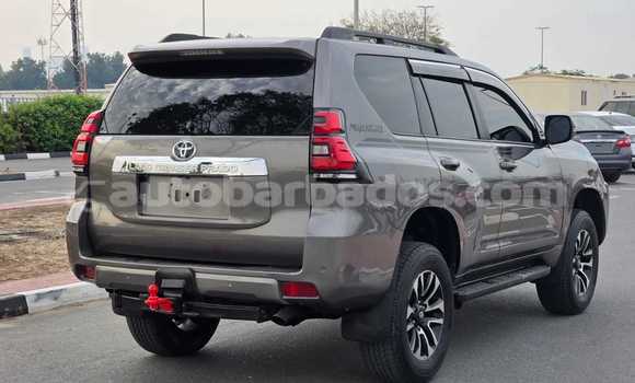 Buy Used Toyota Land Cruiser Prado Brown Car in Bridgetown in Barbados Buy Used Toyota Land Cruiser Prado Brown Car in Bridgetown in Barbados