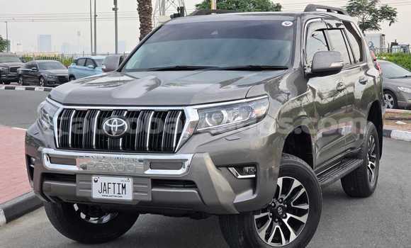 Buy Used Toyota Land Cruiser Prado Brown Car in Bridgetown in Barbados Buy Used Toyota Land Cruiser Prado Brown Car in Bridgetown in Barbados