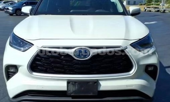Buy Used Toyota Highlander White Car in Bridgetown in Barbados
