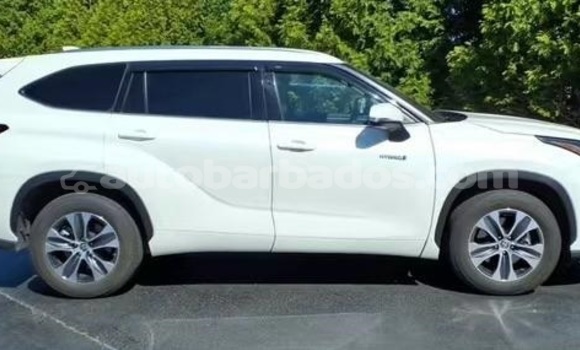 Buy Used Toyota Highlander White Car in Bridgetown in Barbados Buy Used Toyota Highlander White Car in Bridgetown in Barbados