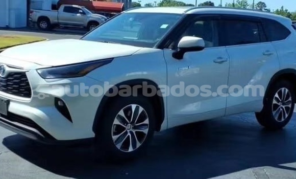 Buy Used Toyota Highlander White Car in Bridgetown in Barbados Buy Used Toyota Highlander White Car in Bridgetown in Barbados