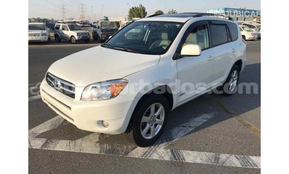 Buy Import Toyota HiAce White Truck in Import - Dubai in Barbados Buy Import Toyota HiAce White Truck in Import - Dubai in Barbados