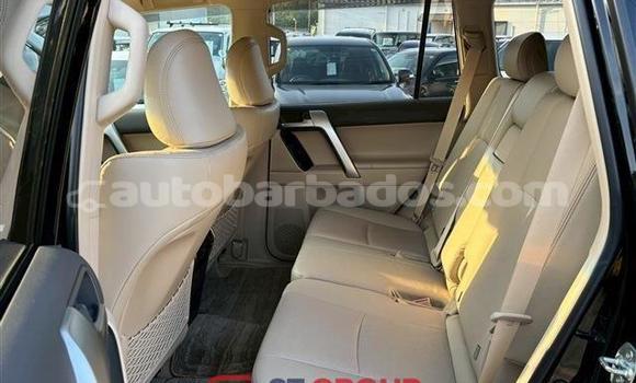 Buy Used Toyota Land Cruiser Prado Black Car in Bridgetown in Barbados Buy Used Toyota Land Cruiser Prado Black Car in Bridgetown in Barbados