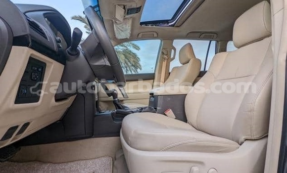 Buy Used Toyota Land Cruiser Prado Other Car in Bridgetown in Barbados Buy Used Toyota Land Cruiser Prado Other Car in Bridgetown in Barbados