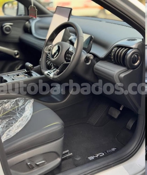 Big with watermark byd f3 barbados bridgetown 4916