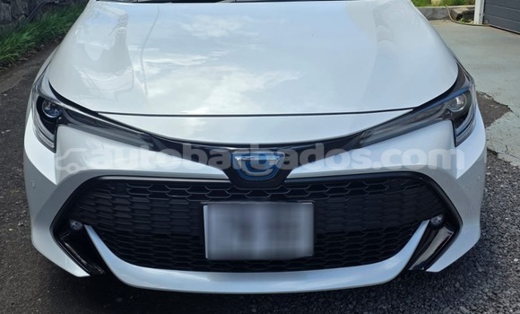 Buy Used Toyota Corolla White Car in Bridgetown in Barbados