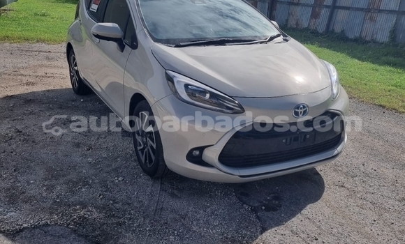 Buy Import Toyota Aqua Beige Car in Bridgetown in Barbados Buy Import Toyota Aqua Beige Car in Bridgetown in Barbados