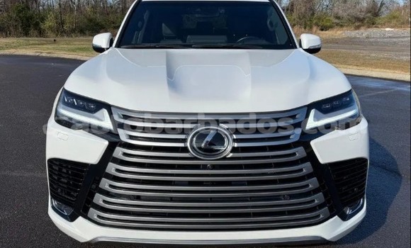 Buy Used Lexus LX White Car in Greenland in Barbados