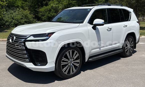 Buy Used Lexus LX White Car in Bridgetown in Barbados