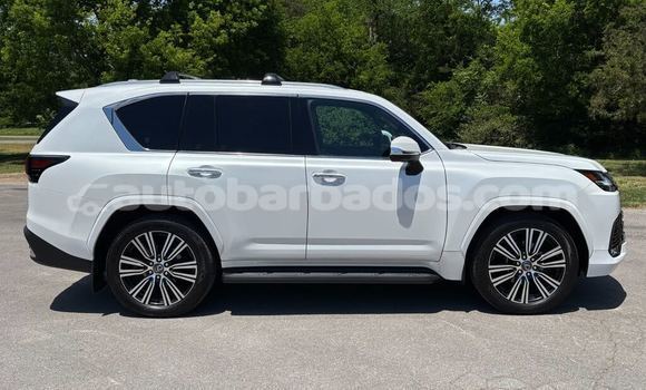 Buy Used Lexus LX White Car in Bridgetown in Barbados Buy Used Lexus LX White Car in Bridgetown in Barbados