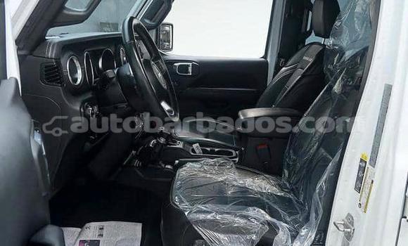 Buy Used Jeep Wrangler White Car in Bridgetown in Barbados Buy Used Jeep Wrangler White Car in Bridgetown in Barbados