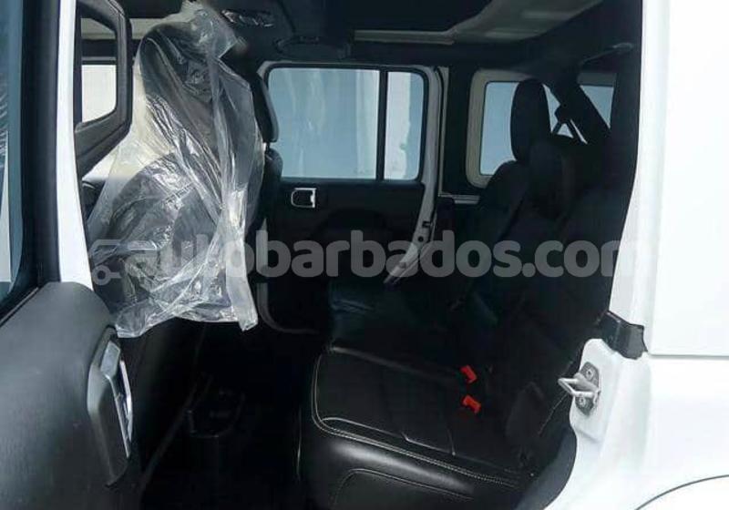 Big with watermark jeep wrangler barbados bridgetown 4964
