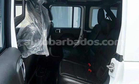 Buy Used Jeep Wrangler White Car in Bridgetown in Barbados Buy Used Jeep Wrangler White Car in Bridgetown in Barbados