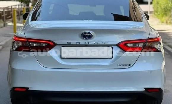 Buy Used Toyota Camry White Car in Bridgetown in Barbados Buy Used Toyota Camry White Car in Bridgetown in Barbados
