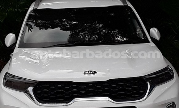 Buy Used Kia Soul White Car in Bridgetown in Barbados Buy Used Kia Soul White Car in Bridgetown in Barbados