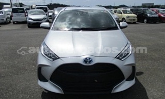 Buy Used Toyota Yaris White Car in Bridgetown in Barbados