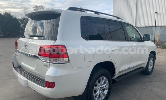 Buy Used Toyota Land Cruiser White Car in Bridgetown in Barbados Buy Used Toyota Land Cruiser White Car in Bridgetown in Barbados