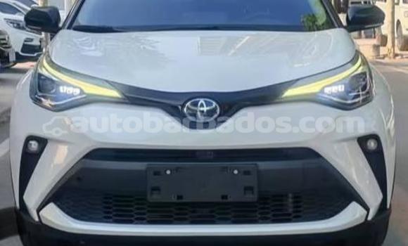Buy Used Toyota C-HR White Car in Bridgetown in Barbados Buy Used Toyota C-HR White Car in Bridgetown in Barbados