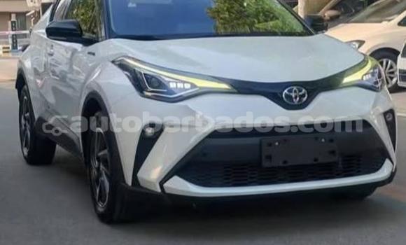 Buy Used Toyota C-HR White Car in Bridgetown in Barbados Buy Used Toyota C-HR White Car in Bridgetown in Barbados